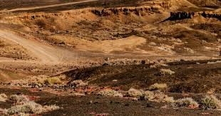 即将进入历史得分榜前20，库里：榜单上都是我敬仰的偶像，我无比荣幸