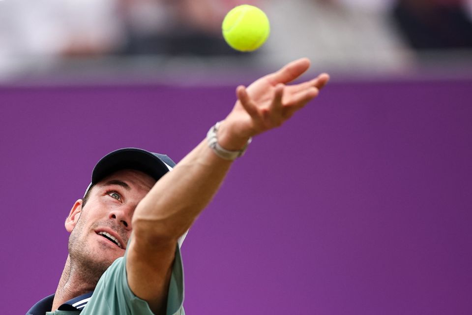 这些都给本 这些都给本